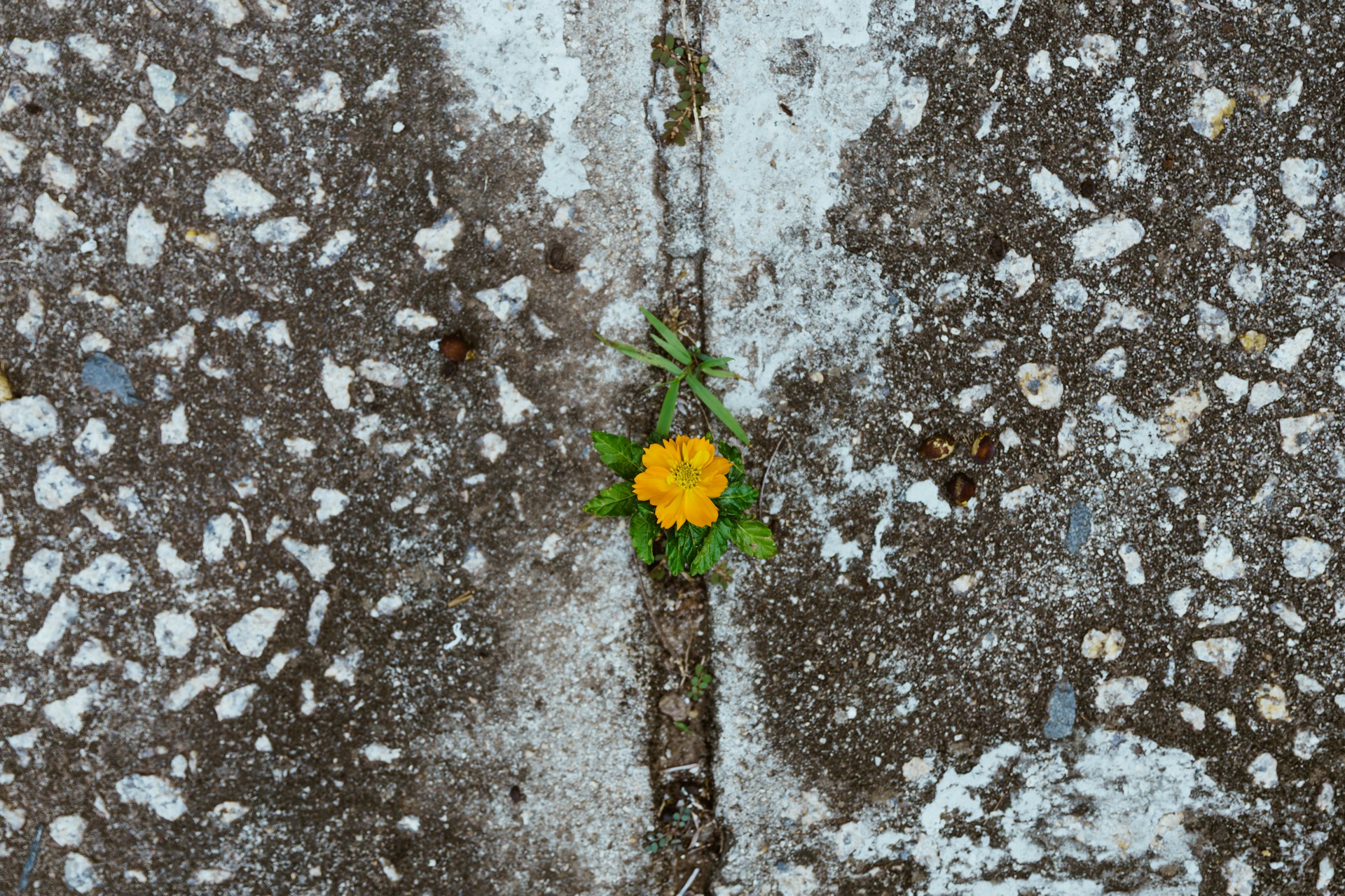 What to Do With a Residency Rejection